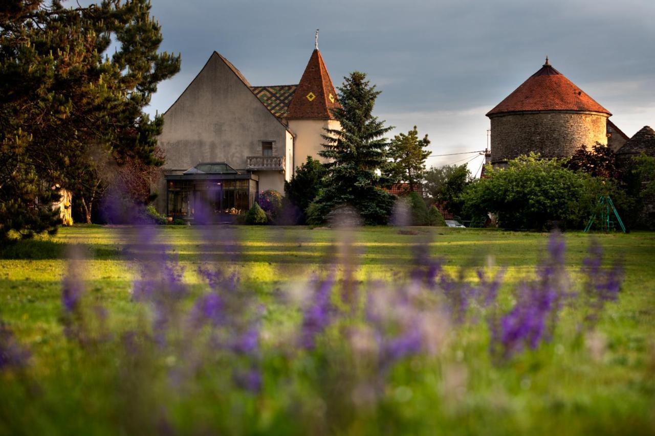 L'Hote Antique - Maison D'Hote- 4 Suites Avec Cuisine Pichanges Exteriör bild